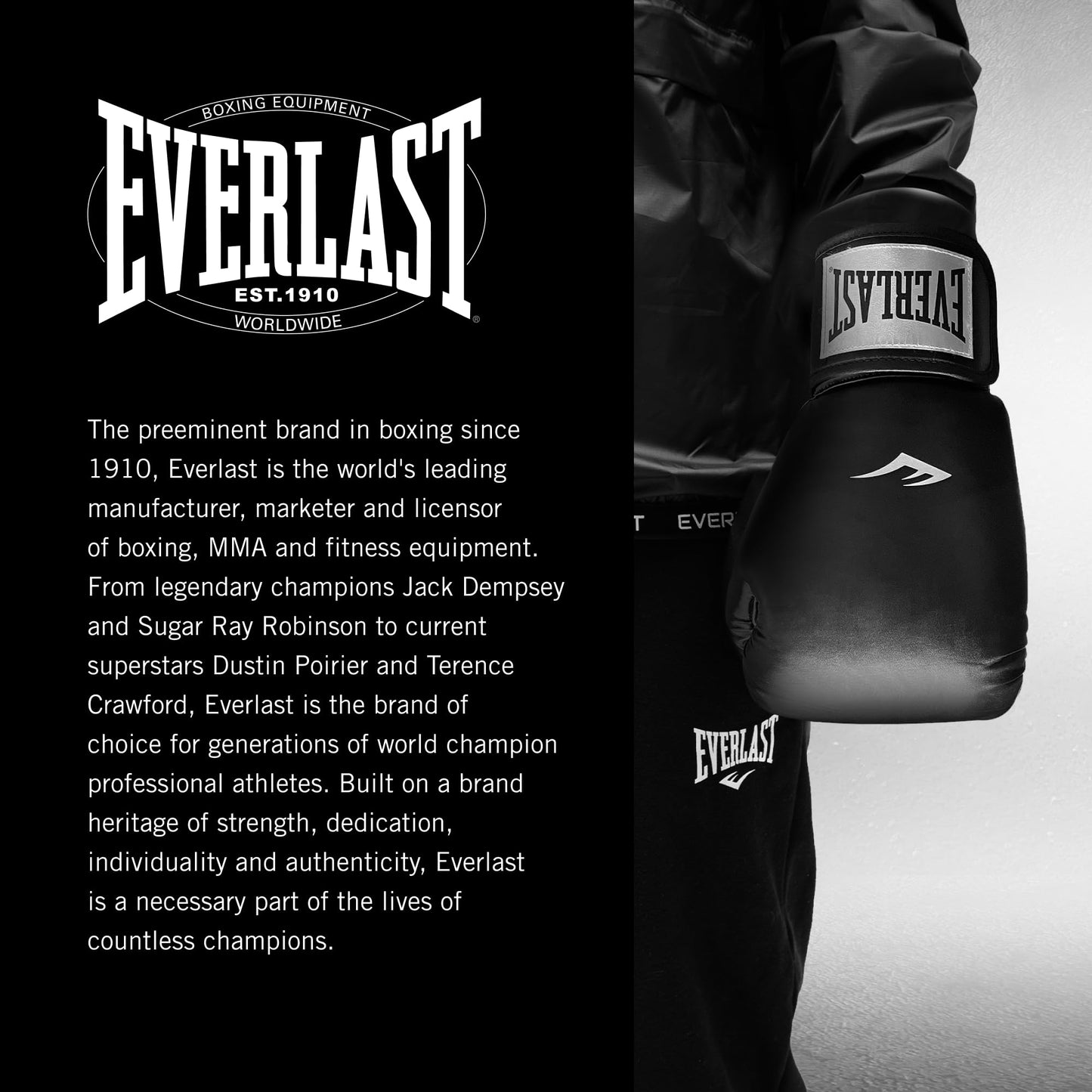 Everlast Prostyle 2