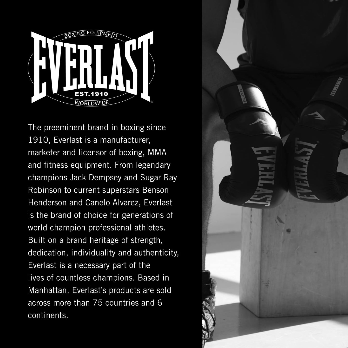 Everlast Prostyle 2